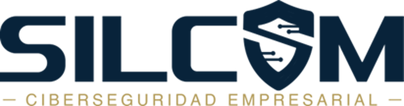 Silcom, Ciberseguridad empresarial